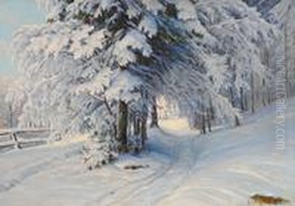 Winterwald - view 1