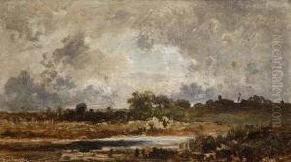 Weite Landschaft Mit
Teich. - view 1