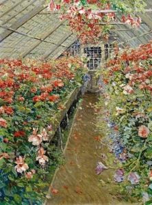 Blossoming Geranium And Begonias In A Greenhaus