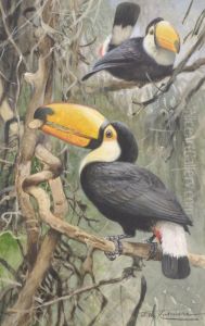 Toucans by Wilhelm Kuhnert