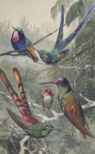 Humming Birds by Wilhelm Kuhnert