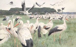 Cranes