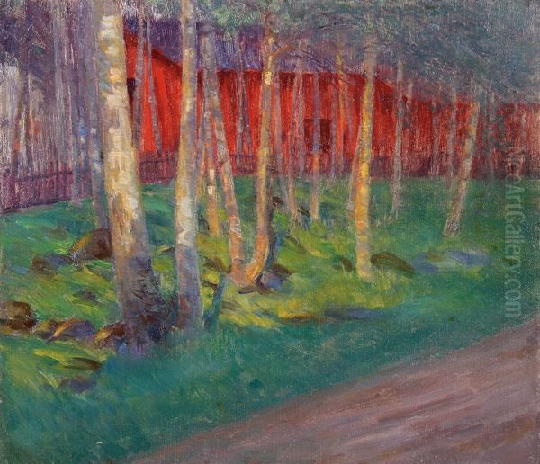 Birch Grove At Sunset - view 1