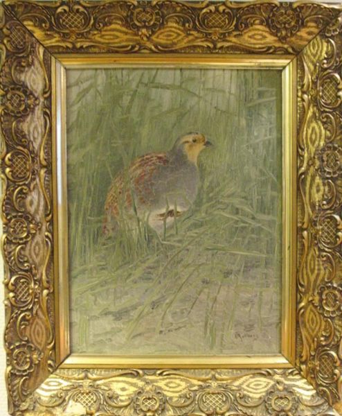 Vaktel I Hogt Gras. - view 1