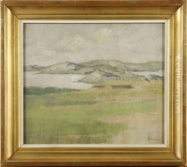 Fjallandskap - view 1