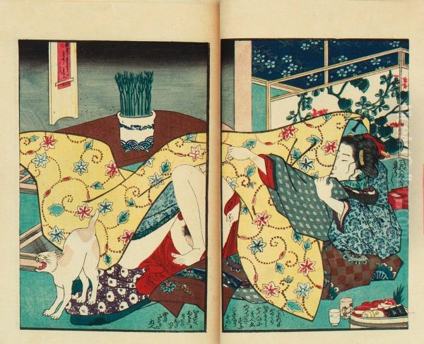Shunga - view 1