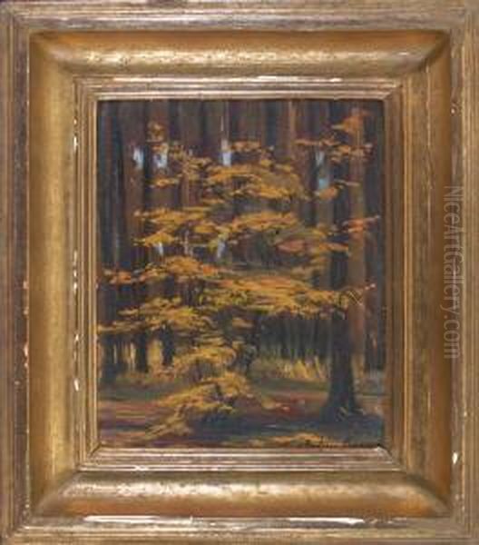 Herbstlicheswaldinneres - view 1