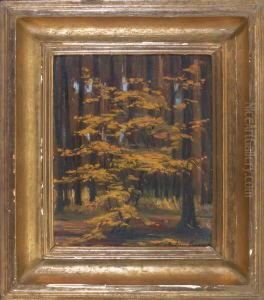 Herbstlicheswaldinneres by Julius Kurz