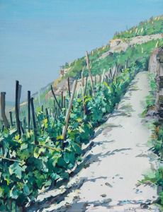 Weinberg Bei Bacharach Am Rhein - Vormittags