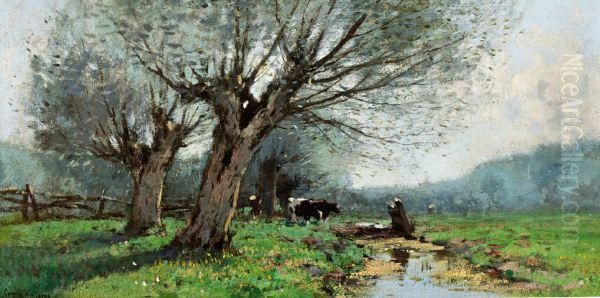 Koeien Onder Wilgenboom Aan De Slootkant - view 1