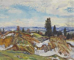 Environs De La-chaux-de-fonds Novembre