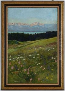 Le Mont-blanc Vu De La Cote Vaudoise
