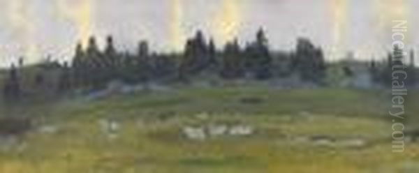 Hugelige Landschaft Mit Tannen Im Morgengrauen - view 1
