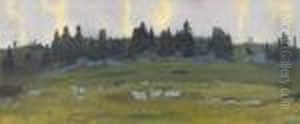 Hugelige Landschaft Mit Tannen Im Morgengrauen