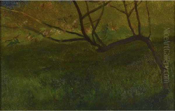 Study Of Apple Tree. Spring - view 1