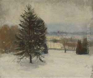 Snow. January, Southerly Wind, Cloudy Sky And Sunlight by John La Farge