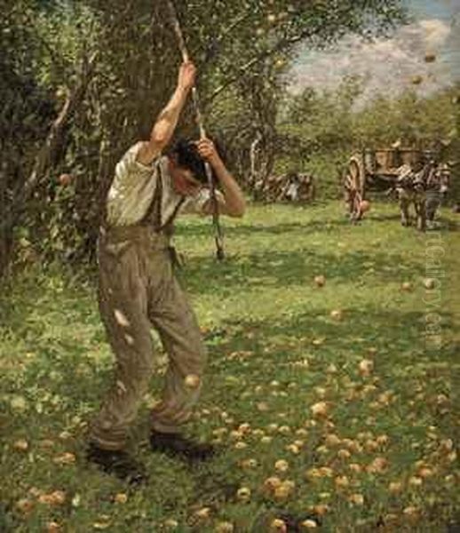 Shaking Down Cider Apples - view 1