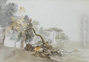 A Study Of Trees