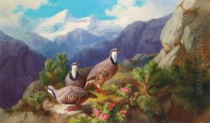 Steinhuhner Vor Bergpanorama by Andreas Lach
