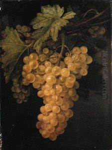 A Bunch Of White Grapes On The Vine