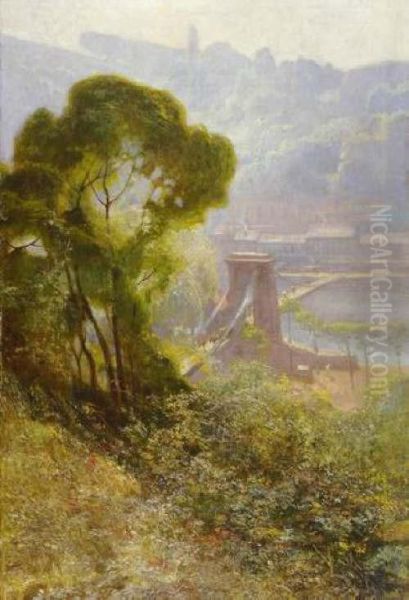 Passerelle Sur L'ile Barbe - view 1
