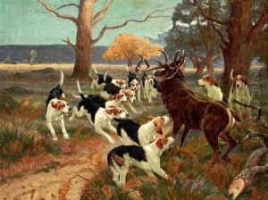 Cerf Attaque Par Les Chiens