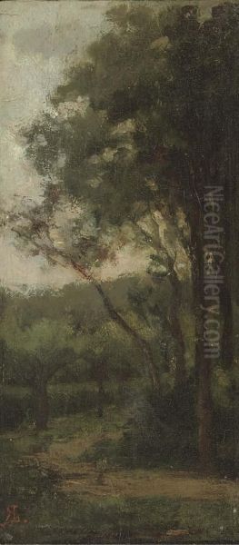 A Woodland Track - view 1