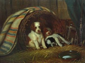 Puppies In A Basket