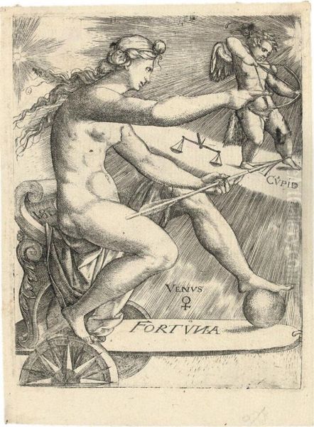 Venus - view 1