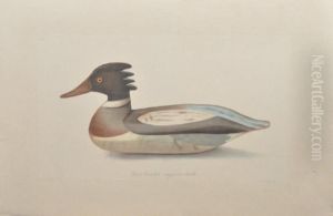 Canard Oldsguan Et Wood Duck by Louis Lafitte