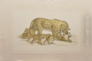 Femelle Et Ses Petits Lionne Et Leopard