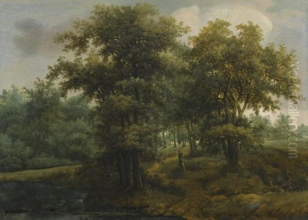 Woodland Scene - view 1