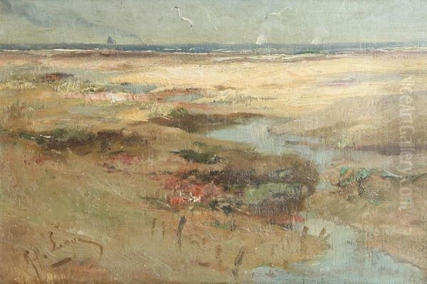 Dune View With Coastline - view 1
