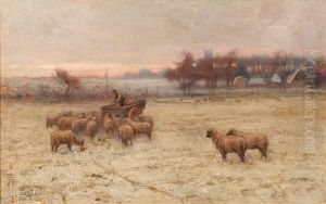 Winter Feed