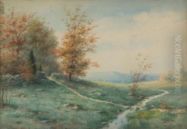 Landscape - view 1