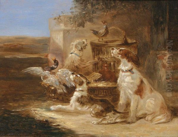 Volailleet Chiens - view 1