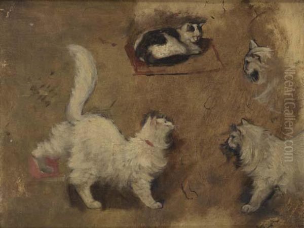 Etudes De Chats - view 1