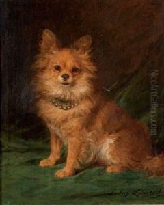 Chien Papillon