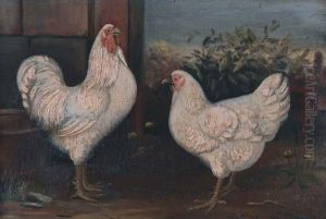 Witte Haan En Hen by Wilhelmus Albertus Lammers
