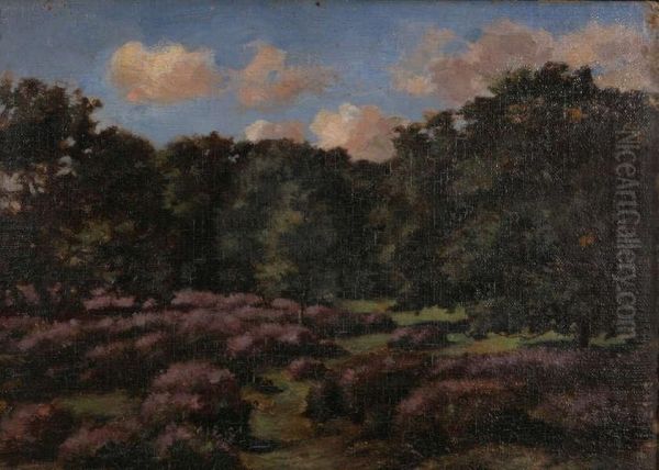 Heidelandschap Met Bomen - view 1