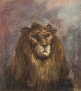 Tete De Lion
