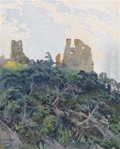 Burgruine Senftenberg by Hubert Landa