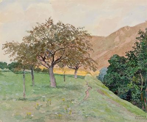 Obstgarten Bei Rossatz In Der Wachau - view 1