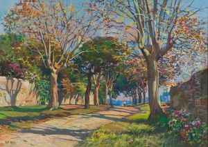 Viale Con Luci Primaverili Viale Con Luci Primaverili