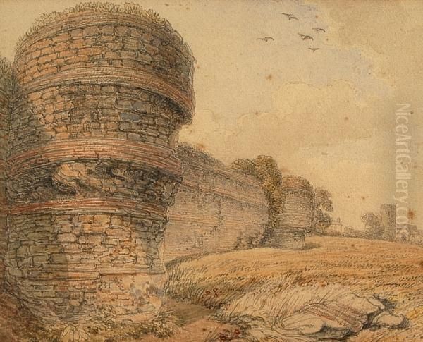 Burgh Castle - view 1