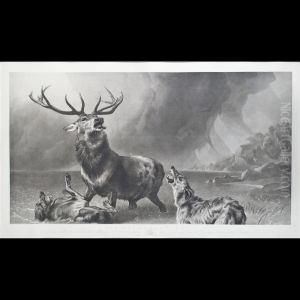 Senza Titolo by Thomas Landseer