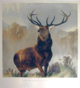 The Monarch Of The Glen