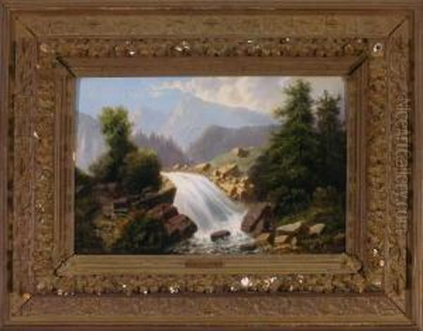 Der Prinser-fall In Der Schweiz - view 1
