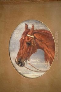 Studies Of The Heads Of Two Horses by H.F. Lang