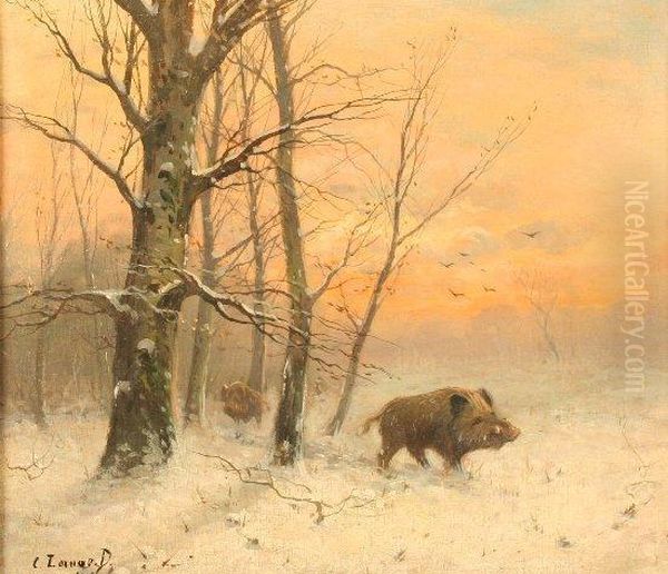 Wildschweine Inwinterlicher Waldlandschaft - view 1
